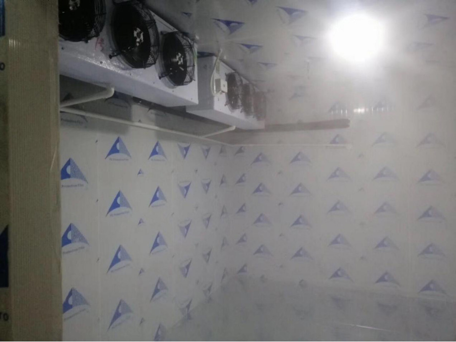 深圳太太藥業有限公司